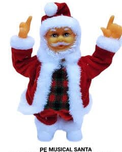 Pe punjabi bhangda santa