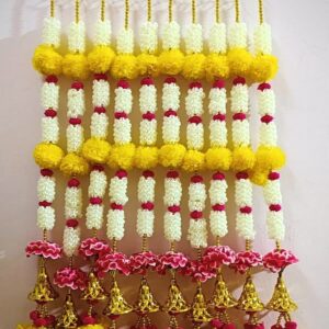 Moti Ladi DLG-22
