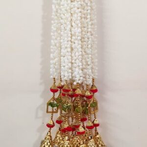Moti Ladi AL-3