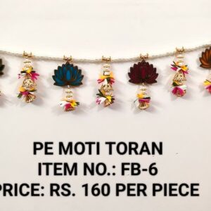 Moti Toran-FB-6