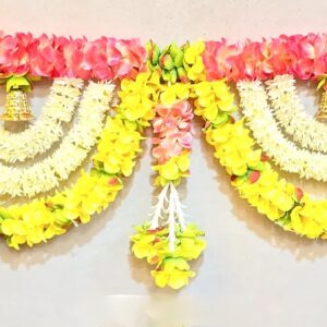 Moti Toran-HB-9000