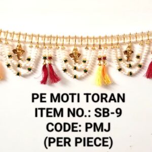 MOTI TORAN: SB-9